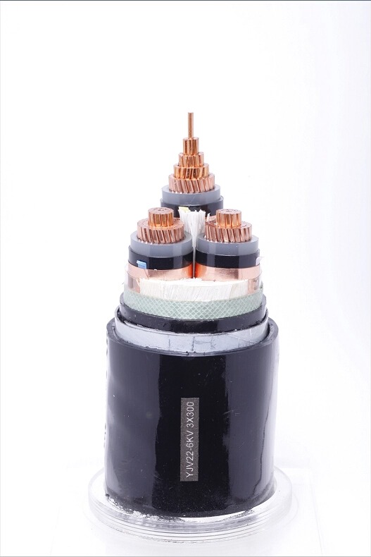 Je! Ni nini nyaya 3 kwenye mstari wa nguvu?